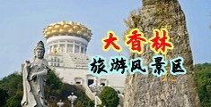 穴逼逼中国浙江-绍兴大香林旅游风景区